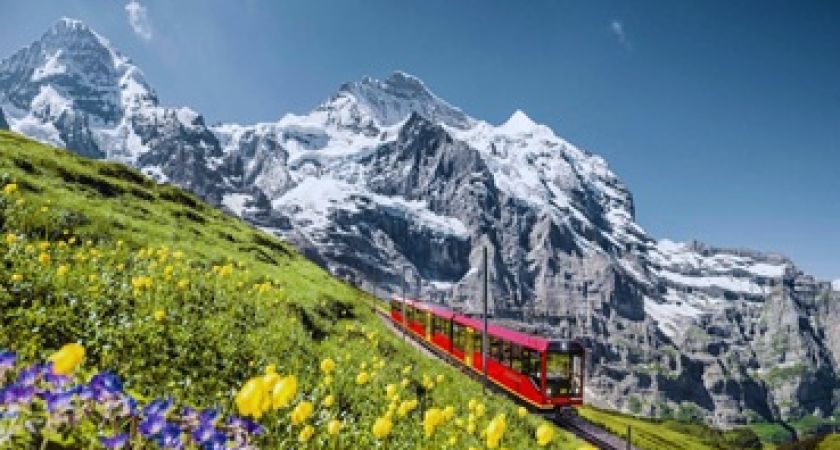 Antalya Çıkışlı Kurban Bayramına Özel Alsace Colmar ve Tren ile Alp Dağları Turu