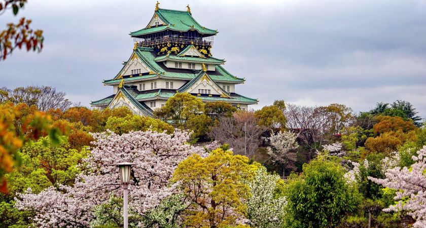 İstanbul Çıkışlı Sakura Zamanında Büyük Japonya & Kore Tüm Turlar Dahil