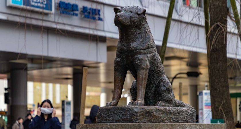 İstanbul Çıkışlı Sömestr Özel Japonya & Kore Turu Tüm Turlar Dahil