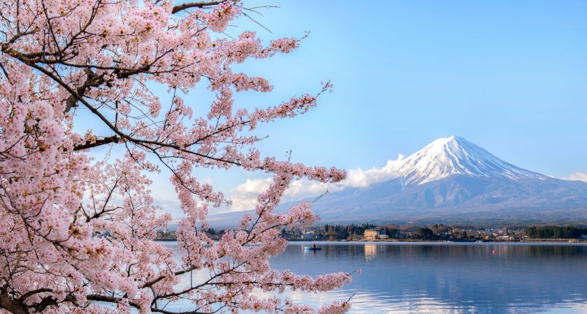 İstanbul Çıkışlı Sakura Zamanında Büyük Japonya & Kore (Kampanya)