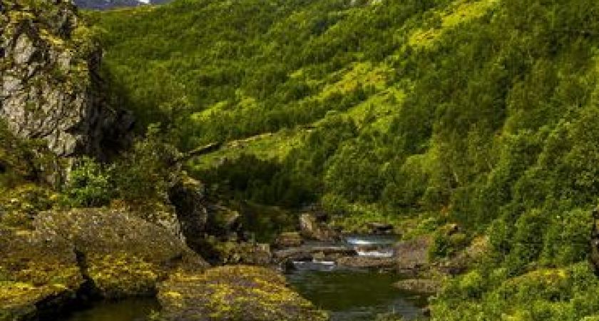 Antalya  Çıkışlı Gemi ve Tren ile Büyülü İskandinavya Norveç & Danimarka Fiyortları İsveç Turu