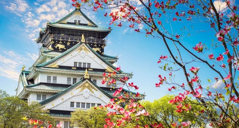 İstanbul Çıkışlı Sömestr Özel Japonya & Kore Turu Tüm Turlar Dahil