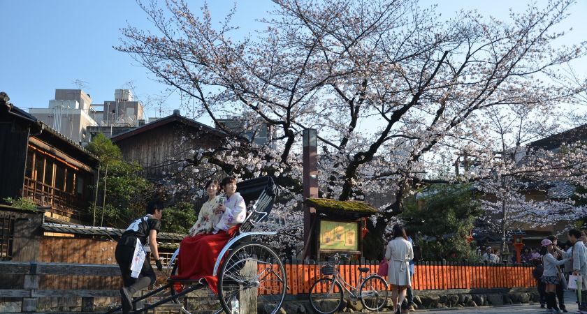 İstanbul Çıkışlı Sakura Zamanında Büyük Japonya & Kore (Kampanya)