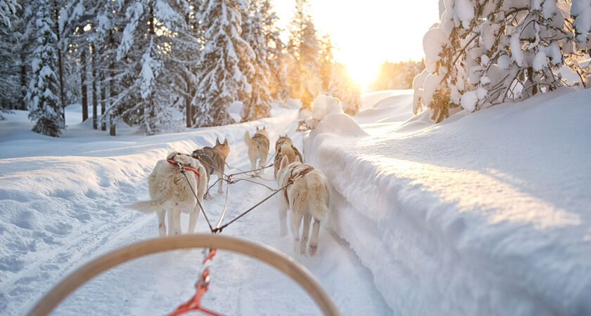 İzmir Çıkışlı Sömestr ve Sevgililer Gününe Özel Lapland Kuzey Işıkları Turu (Tüm Turlar Dahil - 3 Gece)