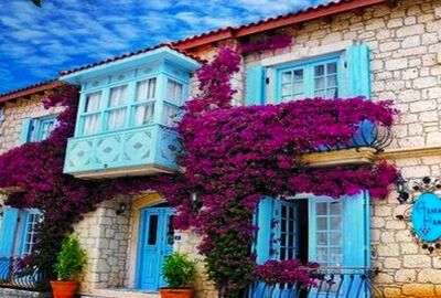 URLA ENGİNAR FESTİVALİ