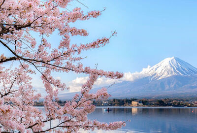 Sakura Döneminin Büyülü Rotası Japonya & Kore Turu Antalya Çıkışlı (Kampanya)