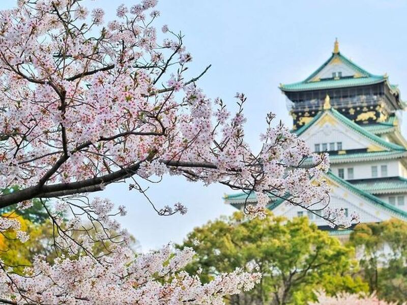 Sakura Döneminin Büyülü Rotası Japonya & Kore Turu Antalya Çıkışlı (Kampanya)